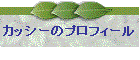 JbV[̃vtB[